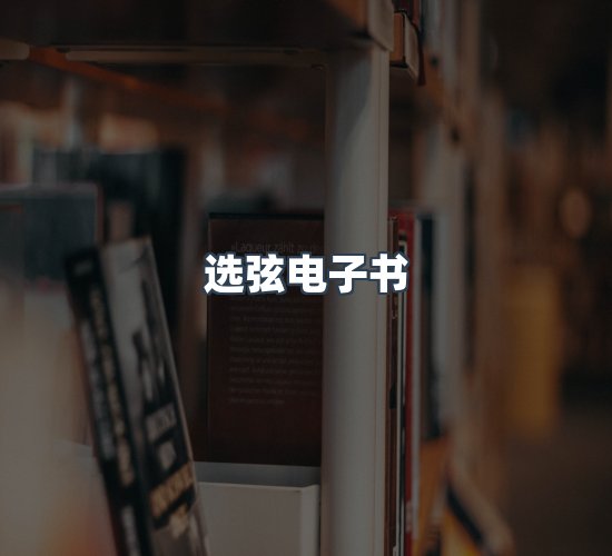 关于选弦电子书